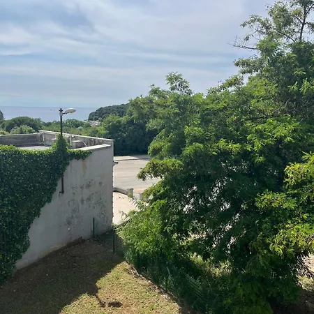 Apartman Solare